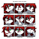 expressions (rose)