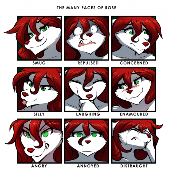 expressions (rose)