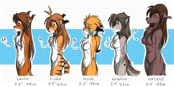 Twokinds_Bust_Size_Chart_by_Twokinds
