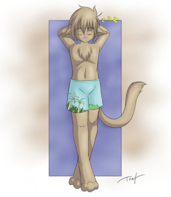 Keith_Sleeping_at_the_Beach_by_Twokinds