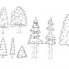 trees